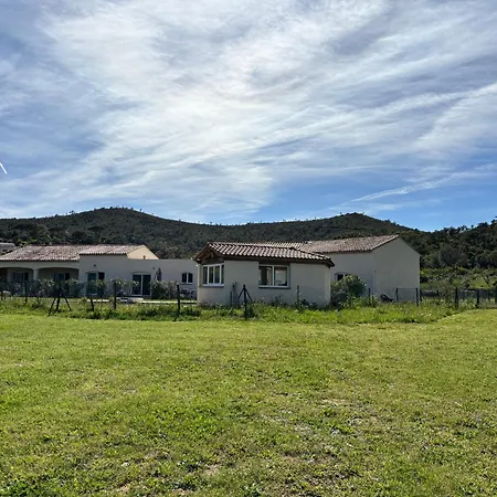 Le Pin D'alep Bormes-les-Mimosas