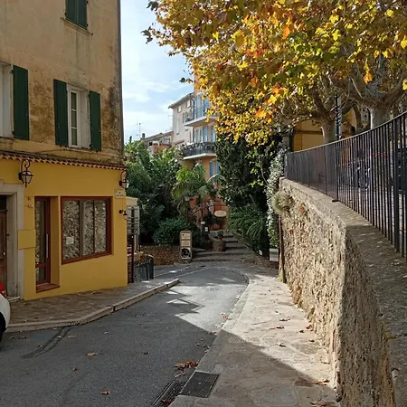 Le Pin D'alep