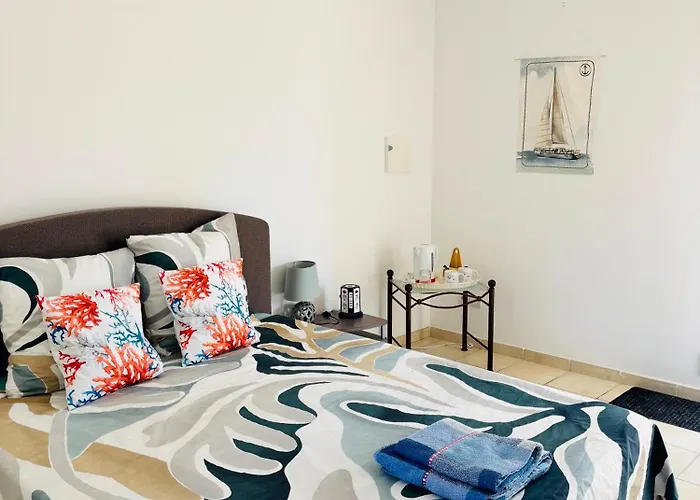 Le Pin D'alep Bormes-les-Mimosas