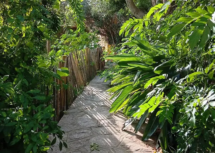 Le Pin D'alep Bed and breakfast Bormes-les-Mimosas