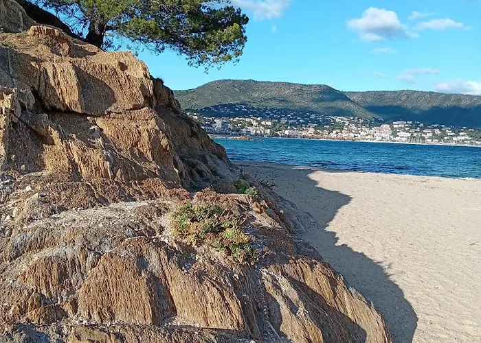 Le Pin D'alep Bed and breakfast Bormes-les-Mimosas