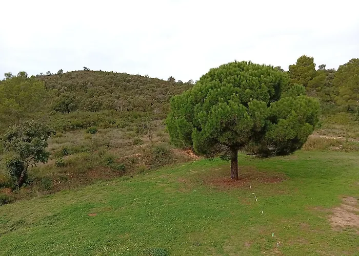 Bed and breakfast Le Pin D'alep Bormes-les-Mimosas