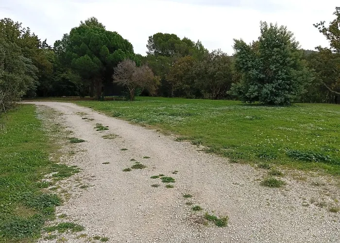 Le Pin D'alep Bed and breakfast Bormes-les-Mimosas