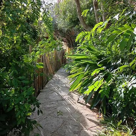 Le Pin D'alep Frühstückspension Bormes-les-Mimosas