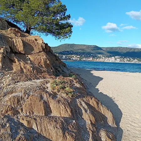 Le Pin D'alep Frühstückspension Bormes-les-Mimosas