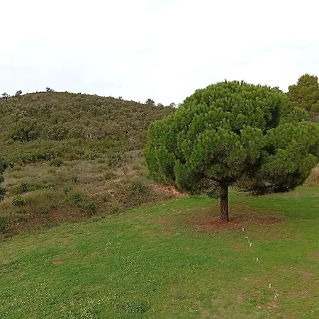 Frühstückspension Le Pin D'alep Bormes-les-Mimosas